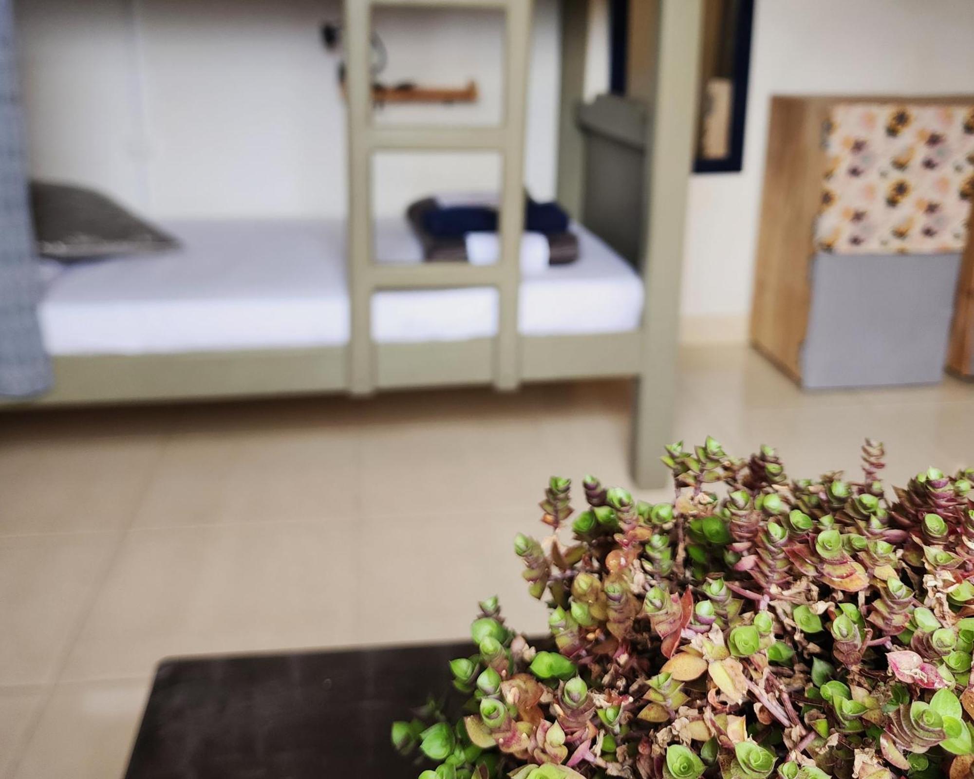 Casa Kayam Art Hostel Coliving Coworking Guatapé 객실 사진