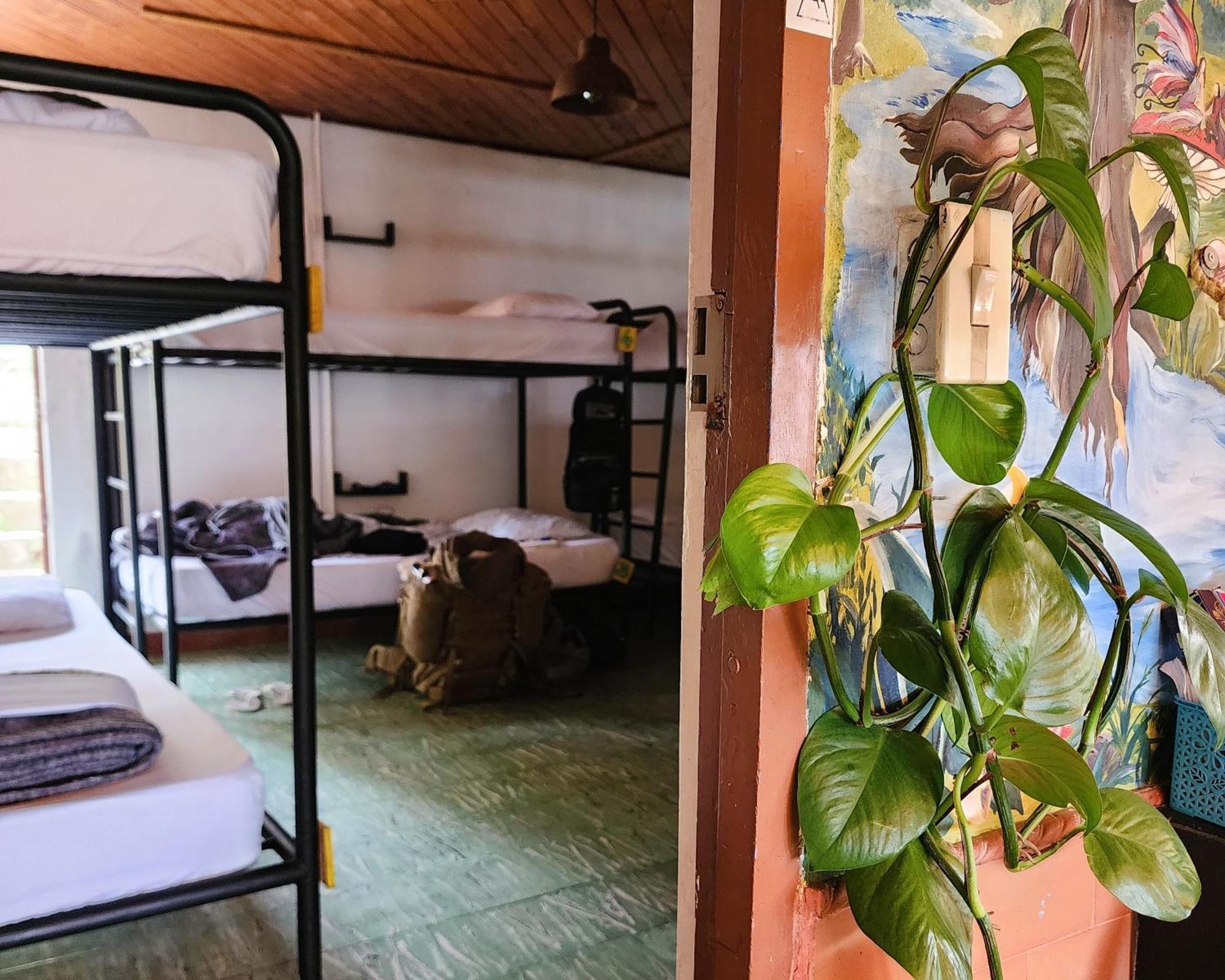 Casa Kayam Art Hostel Coliving Coworking Guatapé 외부 사진